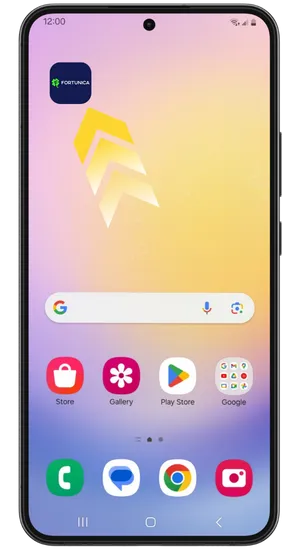 De game is geïnstalleerd en klaar om te starten